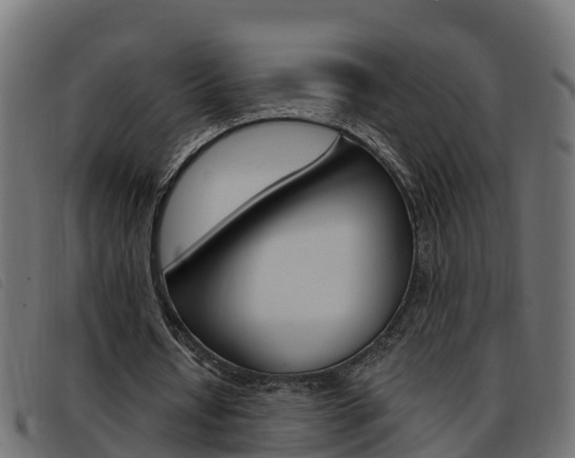 X0000093590434200710151020