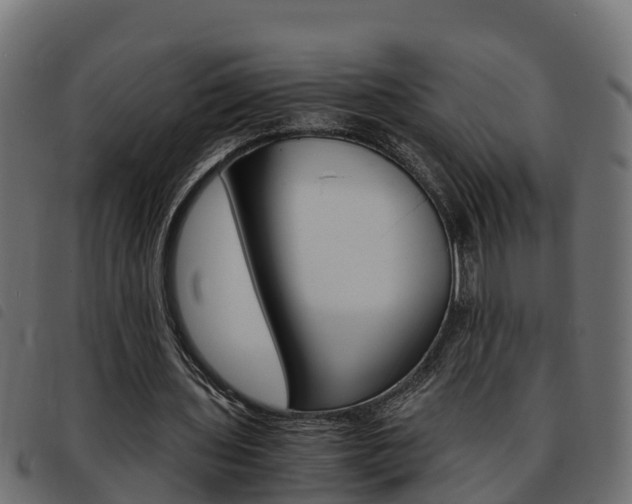 X0000093590435200710151020