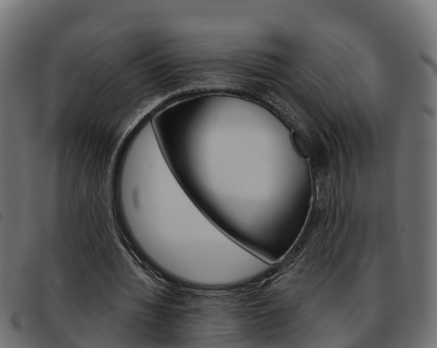 X0000093590436200710151020