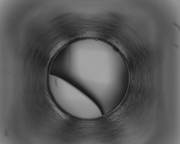 X0000093590437200710151020