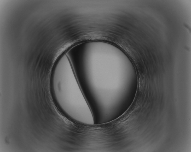 X0000093590438200710151021