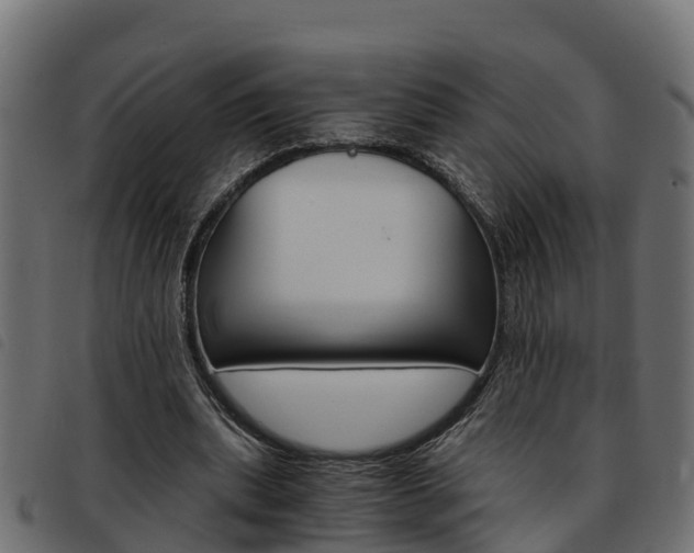X0000093590439200710151021