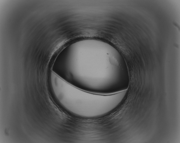 X0000093590440200710151021