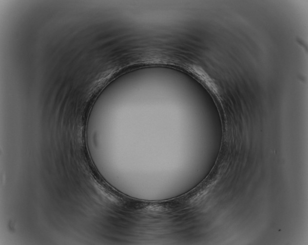 X0000093590441200710151021