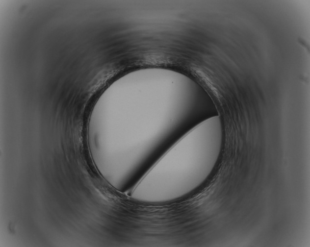 X0000093590443200710151021