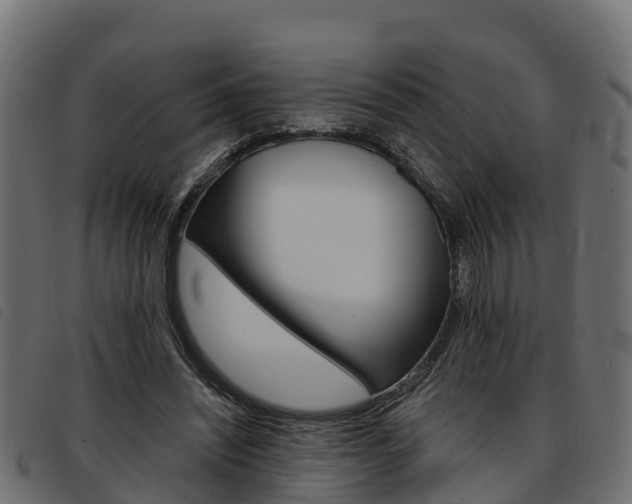 X0000093590444200710151021