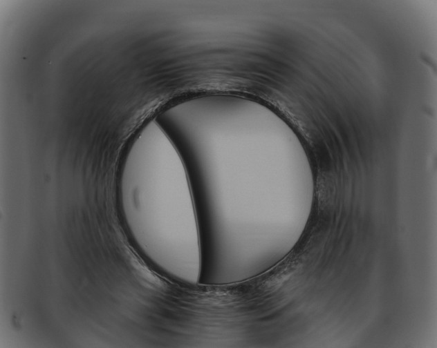 X0000093590445200710151021