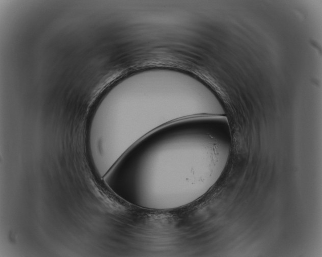 X0000093590446200710151021