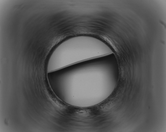 X0000093590447200710151021