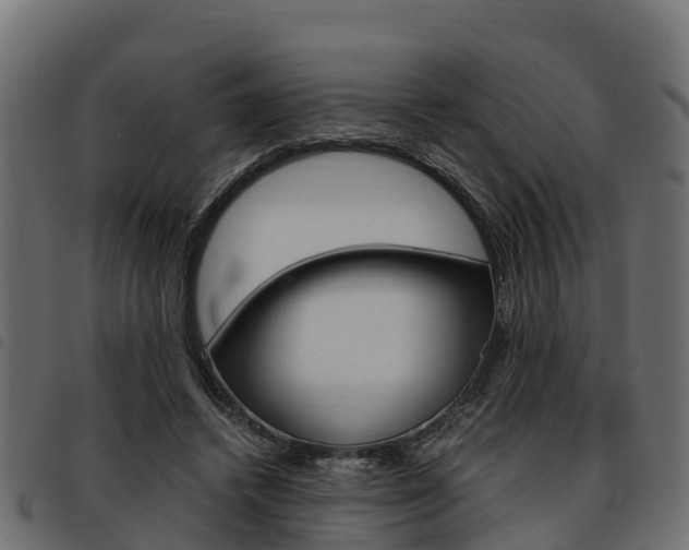 X0000093590448200710151021