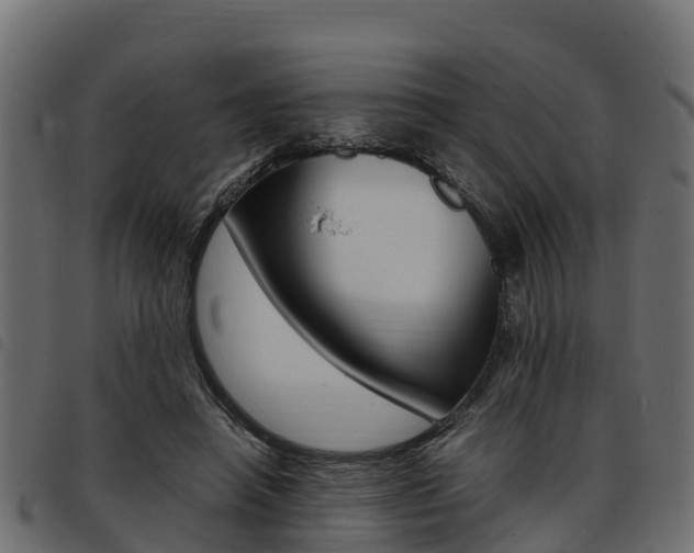 X0000093590450200710151021