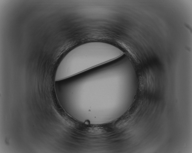 X0000093590451200710151021