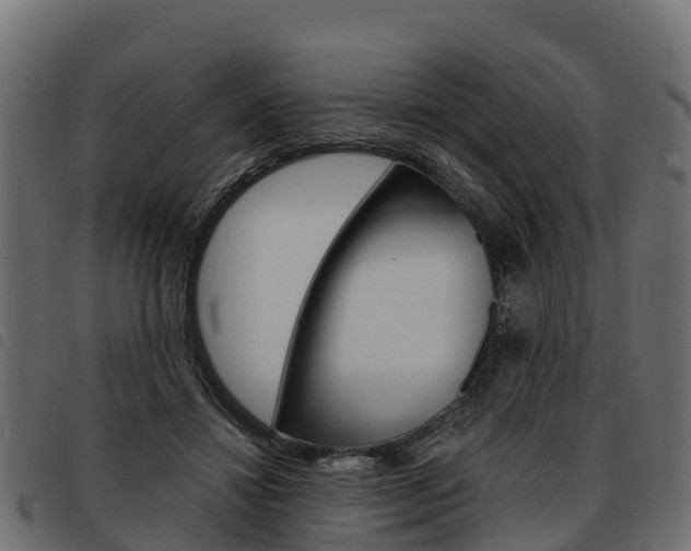 X0000093590452200710151021