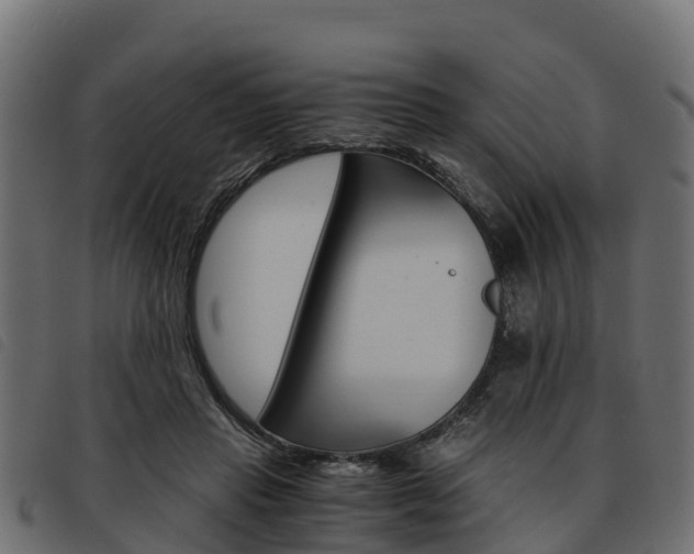 X0000093590453200710151021
