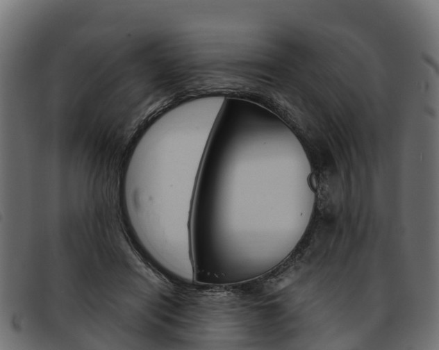 X0000093590454200710151021