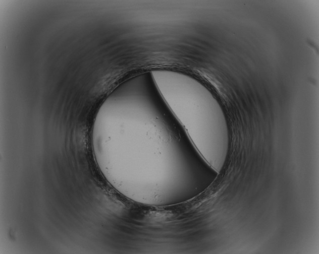 X0000093590455200710151021
