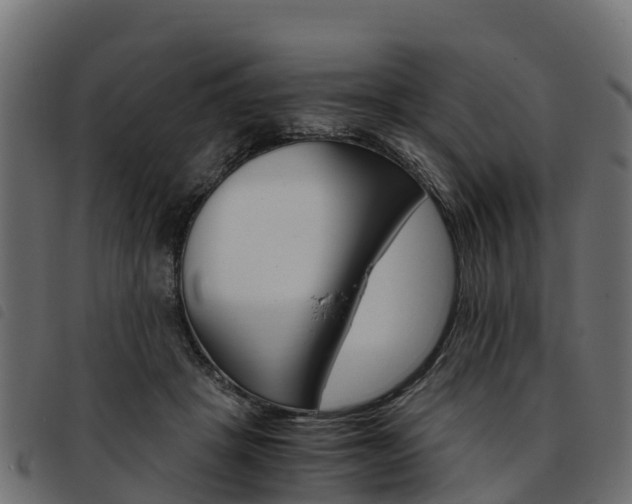 X0000093590457200710151021
