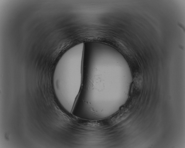 X0000093590458200710151021