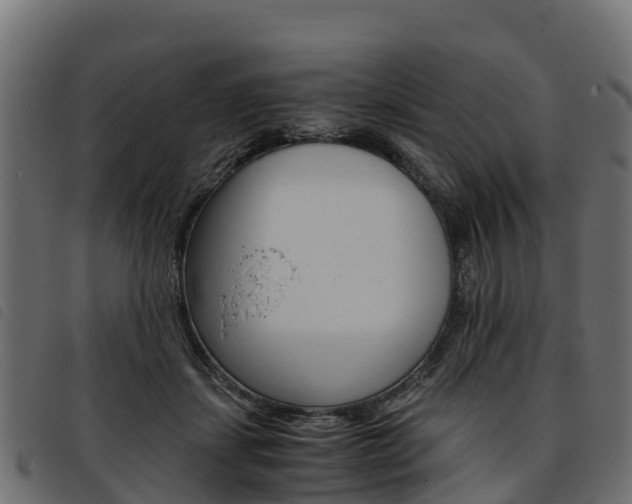 X0000093590459200710151021