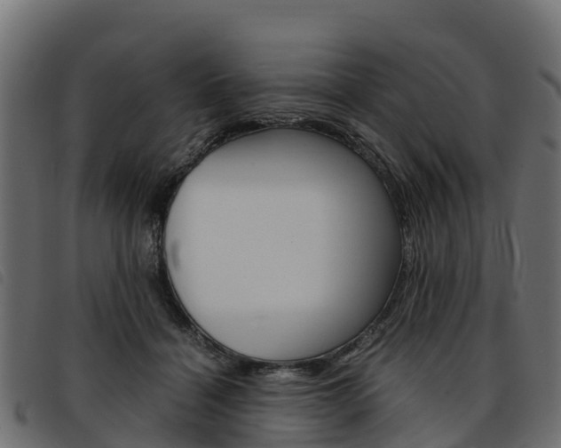 X0000093590460200710151021