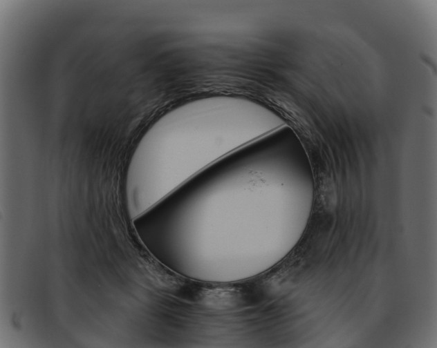 X0000093590461200710151021