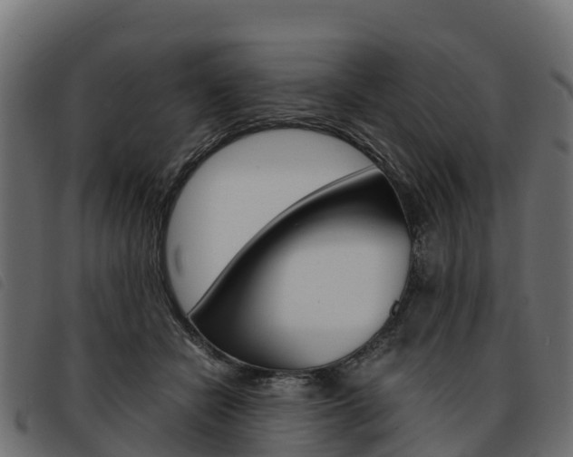 X0000093590462200710151021