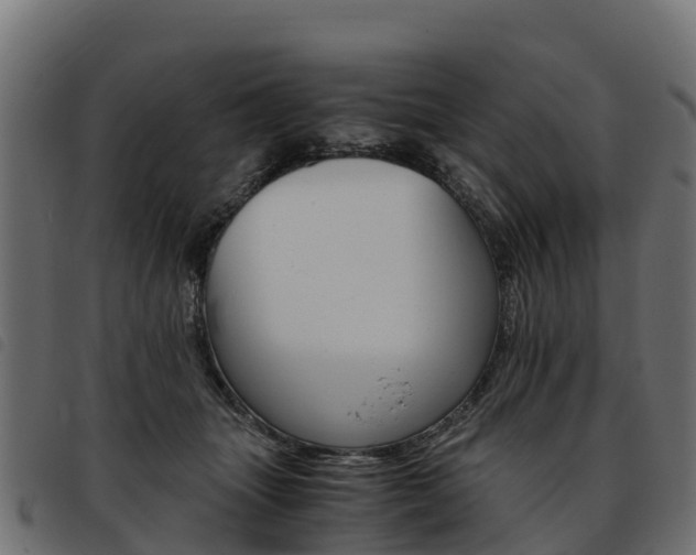 X0000093590463200710151021