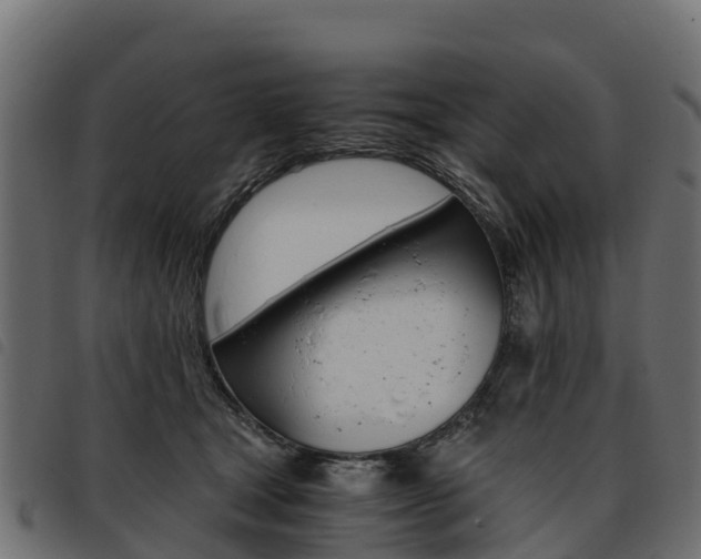X0000093590465200710151021
