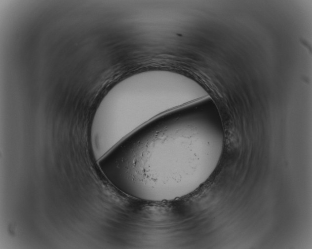 X0000093590466200710151021