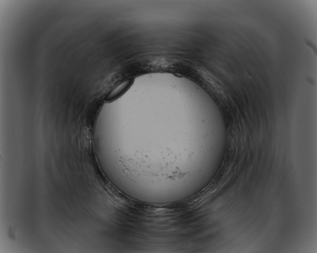 X0000093590467200710151021