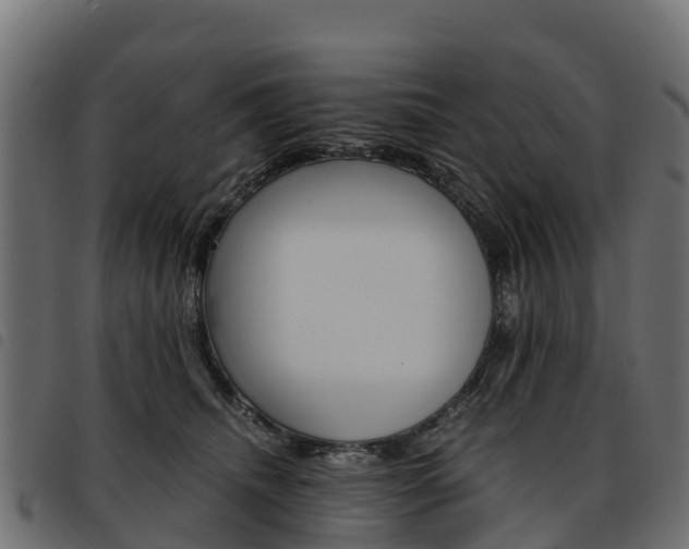 X0000093590468200710151021