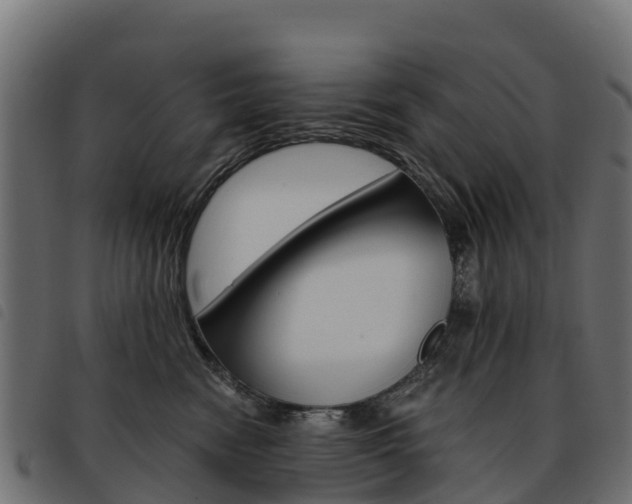 X0000093590474200710151021