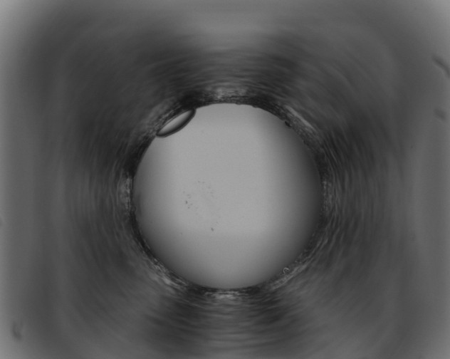 X0000093590475200710151021