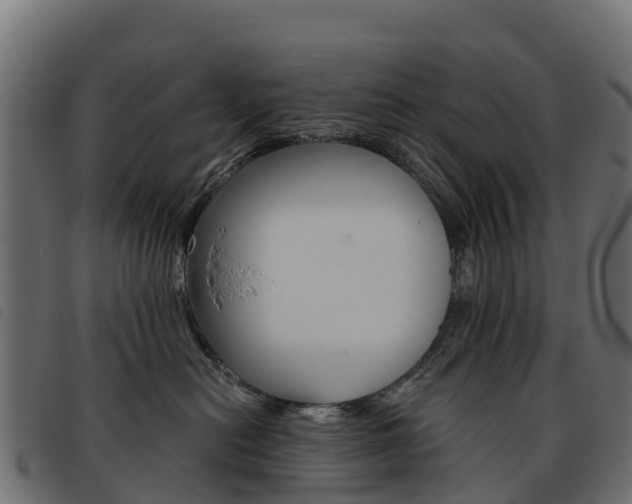 X0000093590478200710151021