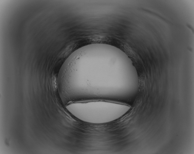 X0000093590479200710151021