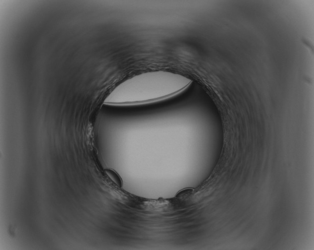 X0000093590480200710151021