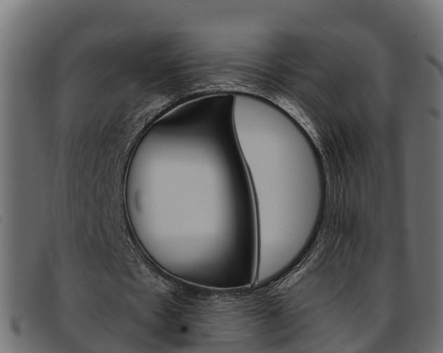 X0000093590481200710151020