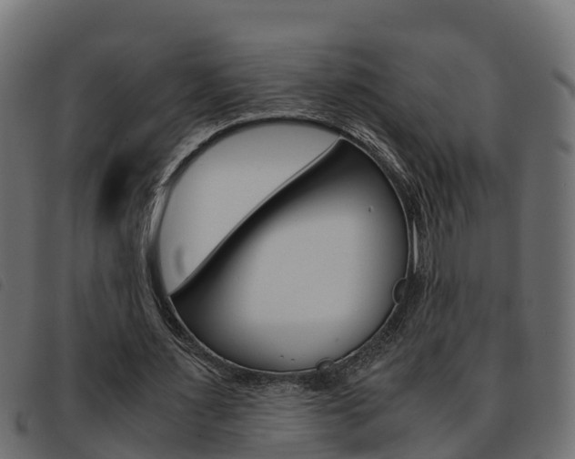 X0000093590483200710151020