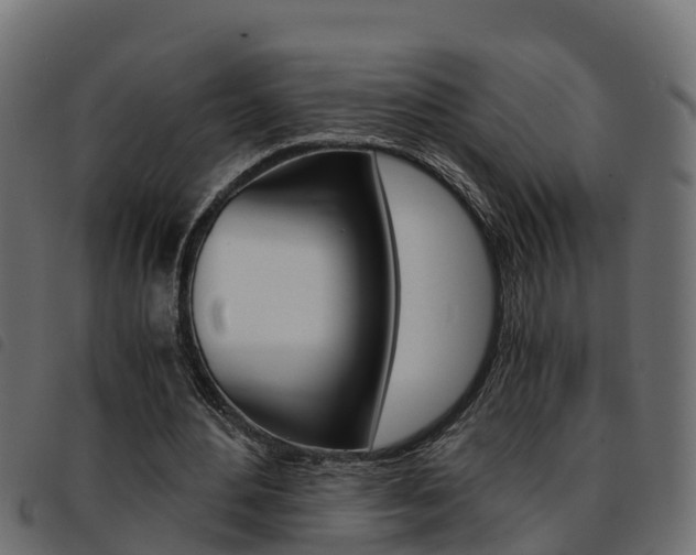 X0000093590484200710151020