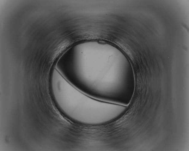 X0000093590485200710151020