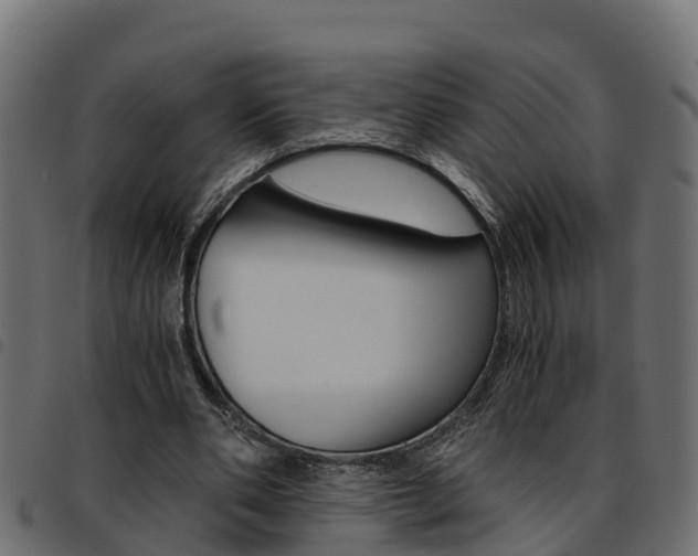 X0000093590486200710151020