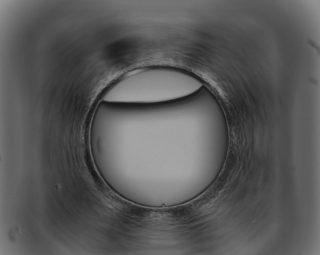 X0000093590487200710151020