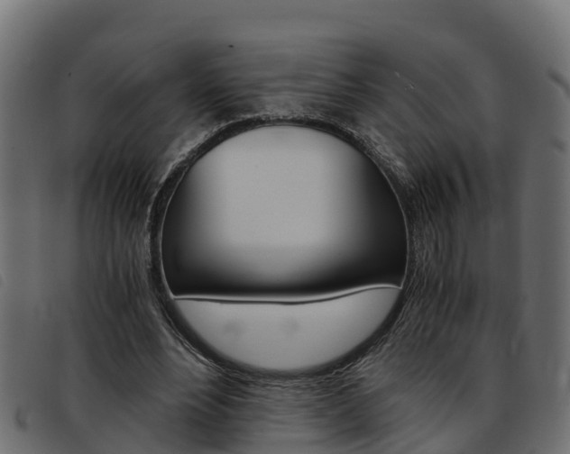 X0000093590488200710151020