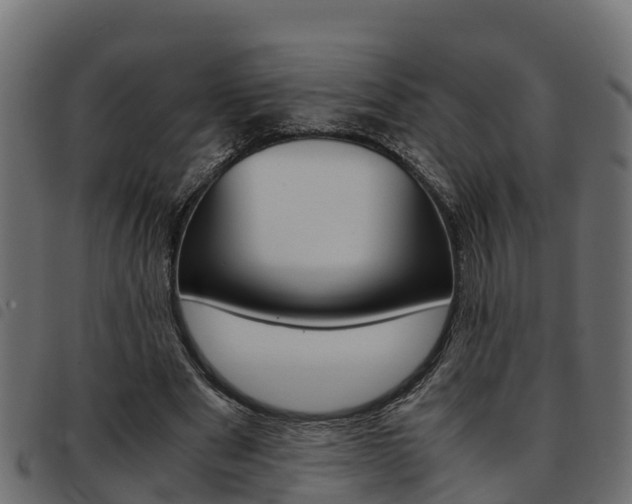 X0000093590489200710151020