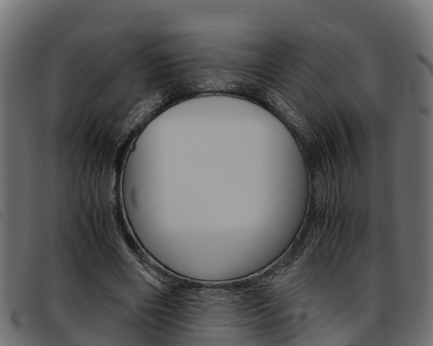 X0000093590490200710151020