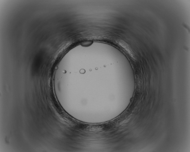 X0000093590491200710151020