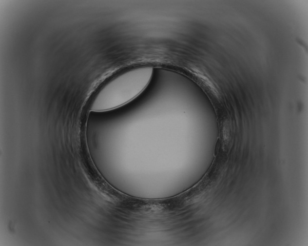 X0000093590492200710151020