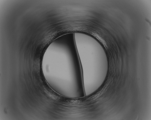 X0000093590493200710151020