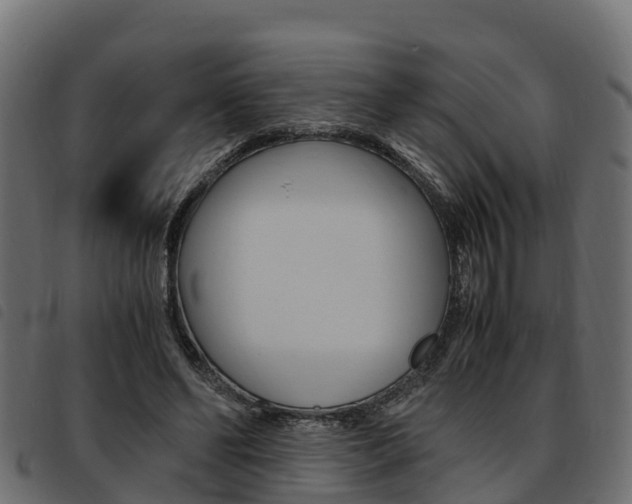X0000093590494200710151020