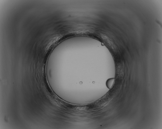X0000093590495200710151020
